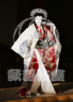 【8月】日本振袖始