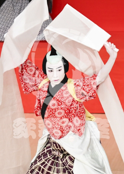 【8月】越後獅子