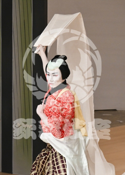 【8月】越後獅子