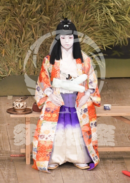 【10月Aプロ】義経千本桜木の実