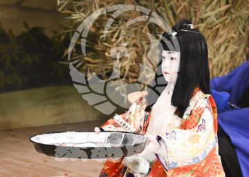 【10月Aプロ】義経千本桜木の実
