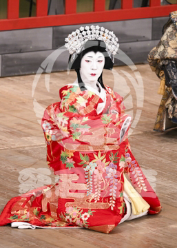 【10月Aプロ】義経千本桜鳥居前