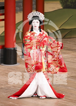 【10月Aプロ】義経千本桜鳥居前