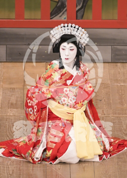 【10月Aプロ】義経千本桜鳥居前