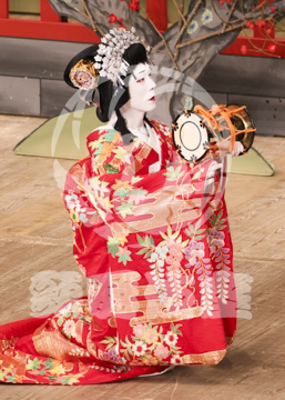 【10月Aプロ】義経千本桜鳥居前