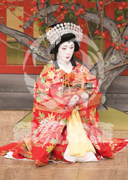 【10月Aプロ】義経千本桜鳥居前