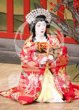 【10月Aプロ】義経千本桜鳥居前