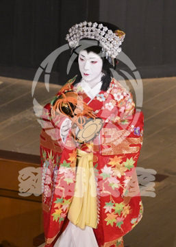 【10月Aプロ】義経千本桜鳥居前
