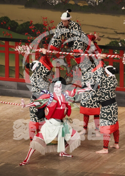 【10月Aプロ】義経千本桜鳥居前