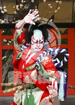 【10月Aプロ】義経千本桜鳥居前