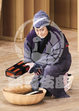 【10月Aプロ】義経千本桜木の実