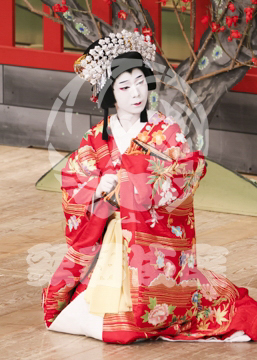 【10月Bプロ】義経千本桜鳥居前