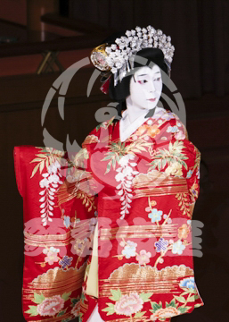 【10月Bプロ】義経千本桜鳥居前