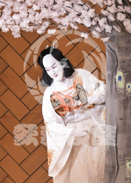 【10月Bプロ】義経千本桜川連法眼館