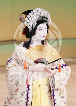 【10月Bプロ】義経千本桜吉野山