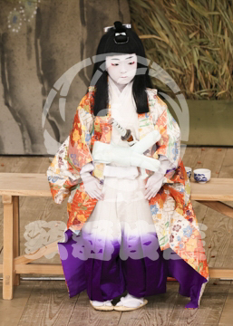 【10月Bプロ】義経千本桜木の実