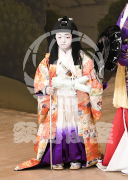 【10月Bプロ】義経千本桜すし屋