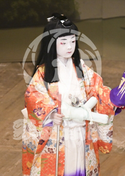 【10月Bプロ】義経千本桜すし屋