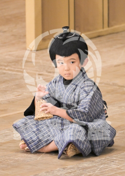 【10月Bプロ】義経千本桜木の実