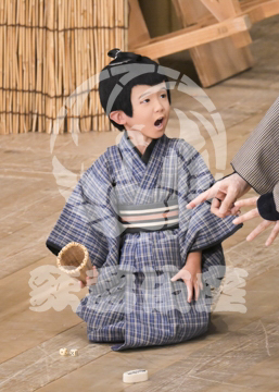 【10月Bプロ】義経千本桜木の実