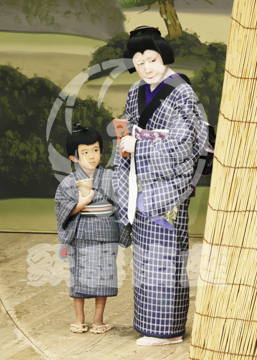 【10月Bプロ】義経千本桜木の実