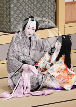 【10月Bプロ】義経千本桜すし屋