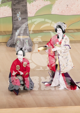 【10月Bプロ】義経千本桜吉野山