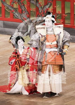 【10月Bプロ】義経千本桜鳥居前
