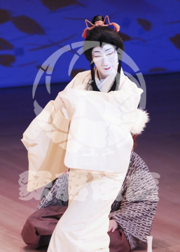 【11月】鳥獣戯画絵巻