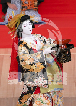 【11月】當年祝春駒