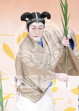 【11月】鳥獣戯画絵巻