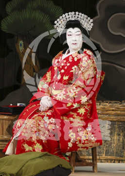 【11月】歌舞伎絶対続魂幕を閉めるな