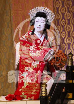 【11月】歌舞伎絶対続魂幕を閉めるな