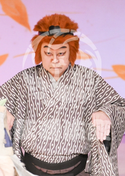 【11月】鳥獣戯画絵巻