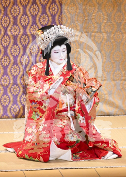 【11月】歌舞伎絶対続魂幕を閉めるな