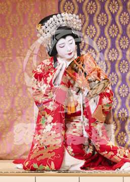 【11月】歌舞伎絶対続魂幕を閉めるな