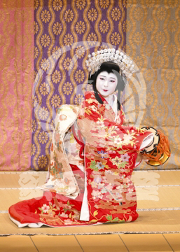 【11月】歌舞伎絶対続魂幕を閉めるな