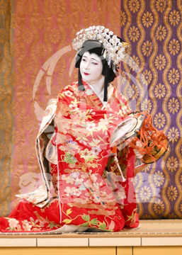 【11月】歌舞伎絶対続魂幕を閉めるな