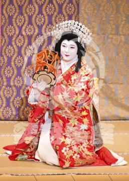 【11月】歌舞伎絶対続魂幕を閉めるな