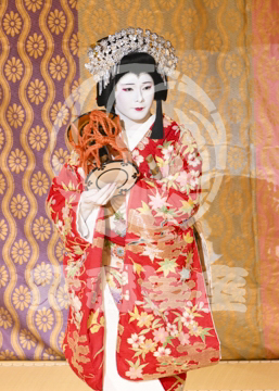 【11月】歌舞伎絶対続魂幕を閉めるな