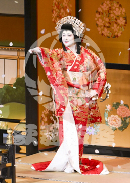 【11月】歌舞伎絶対続魂幕を閉めるな