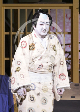 【11月】歌舞伎絶対続魂幕を閉めるな