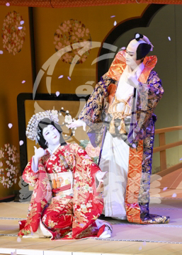 【11月】歌舞伎絶対続魂幕を閉めるな