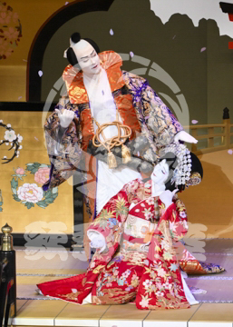 【11月】歌舞伎絶対続魂幕を閉めるな