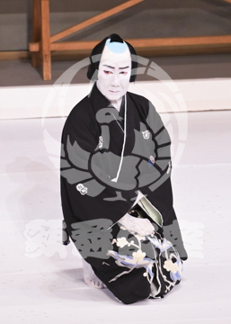 【11月】道行雪故郷新口村