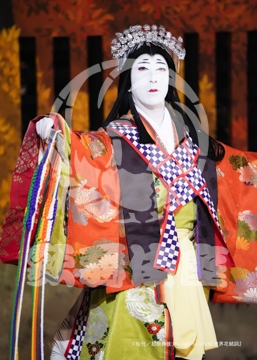 【12月】世界花結詞