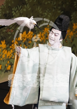 【12月】世界花結詞