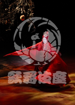 【12月】火の鳥