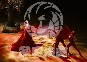 【12月】火の鳥