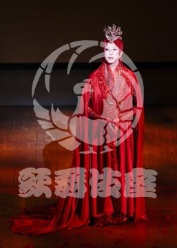 【12月】火の鳥